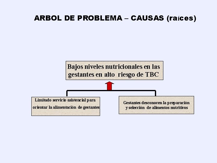 ARBOL DE PROBLEMA – CAUSAS (raíces) Bajos niveles nutricionales en las gestantes en alto