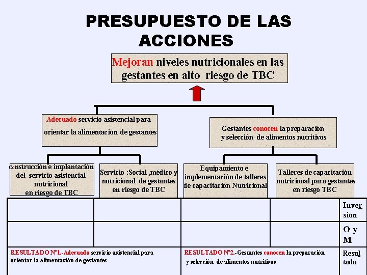 PRESUPUESTO DE LAS ACCIONES Mejoran niveles nutricionales en las gestantes en alto riesgo de