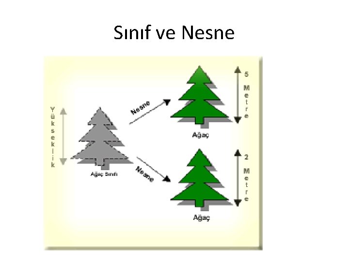 Sınıf ve Nesne 