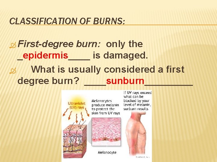 CLASSIFICATION OF BURNS: First-degree burn: only the _epidermis____ is damaged. What is usually considered
