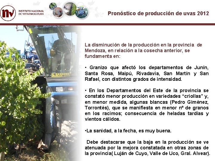 Pronóstico de producción de uvas 2012 La disminución de la producción en la provincia