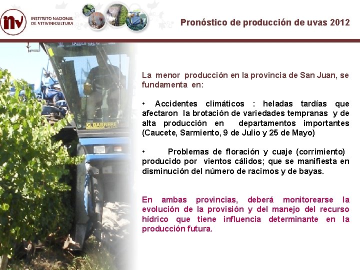 Pronóstico de producción de uvas 2012 La menor producción en la provincia de San