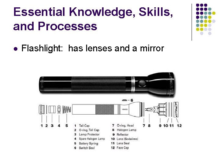 Essential Knowledge, Skills, and Processes l Flashlight: has lenses and a mirror 