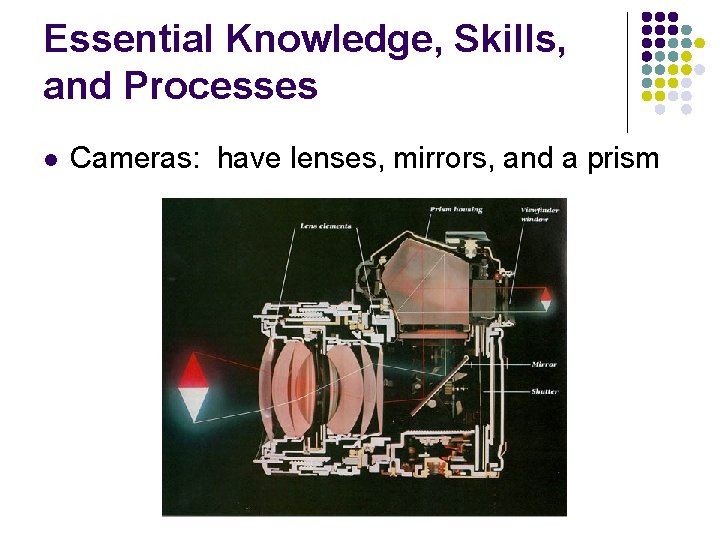 Essential Knowledge, Skills, and Processes l Cameras: have lenses, mirrors, and a prism 