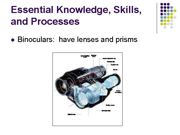 Essential Knowledge, Skills, and Processes l Binoculars: have lenses and prisms 