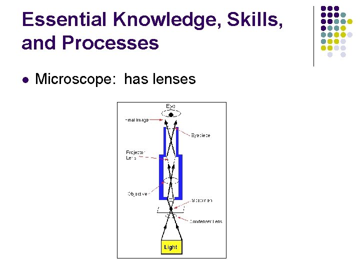 Essential Knowledge, Skills, and Processes l Microscope: has lenses 