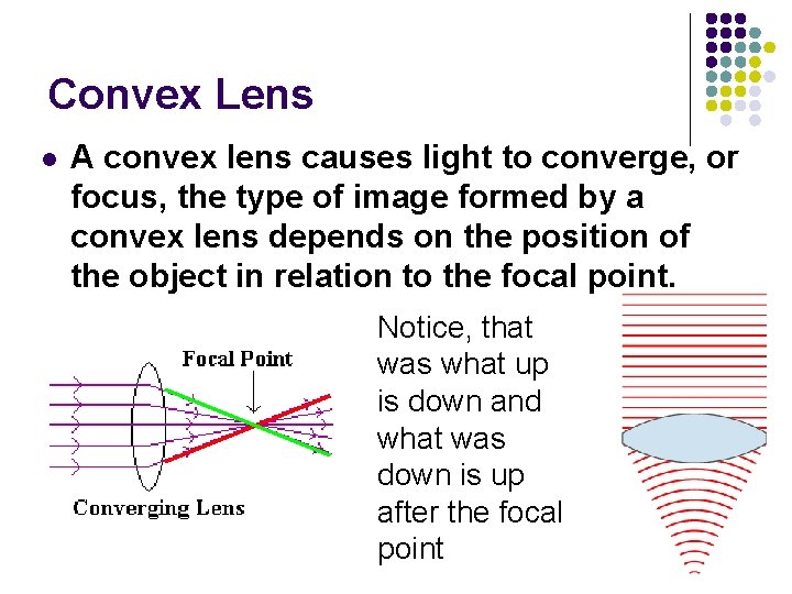 Convex Lens l A convex lens causes light to converge, or focus, the type