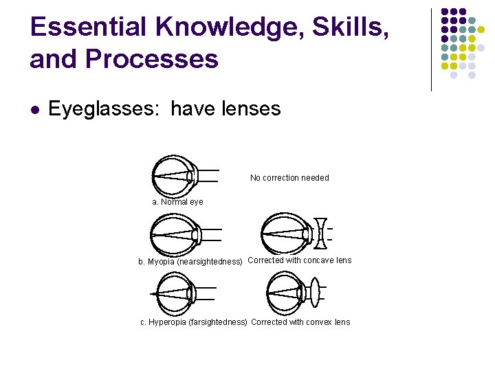 Essential Knowledge, Skills, and Processes l Eyeglasses: have lenses No correction needed a. Normal