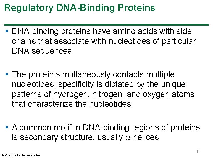 Regulatory DNA-Binding Proteins § DNA-binding proteins have amino acids with side chains that associate