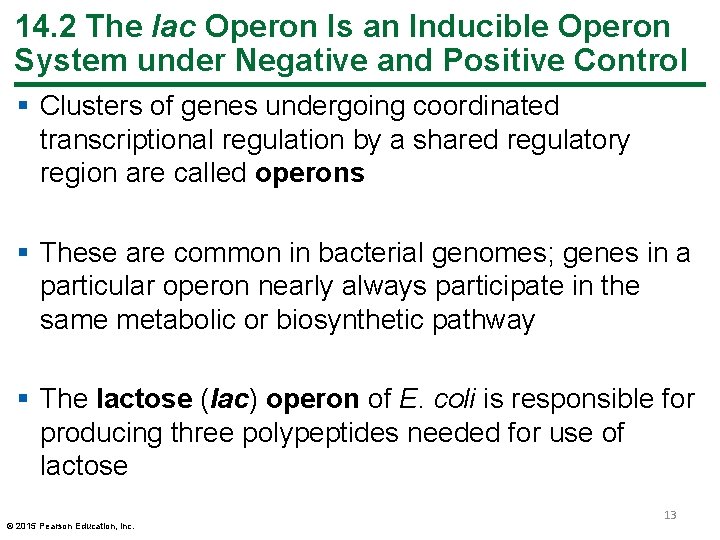 14. 2 The lac Operon Is an Inducible Operon System under Negative and Positive