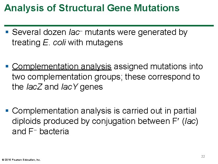 Analysis of Structural Gene Mutations § Several dozen lac mutants were generated by treating