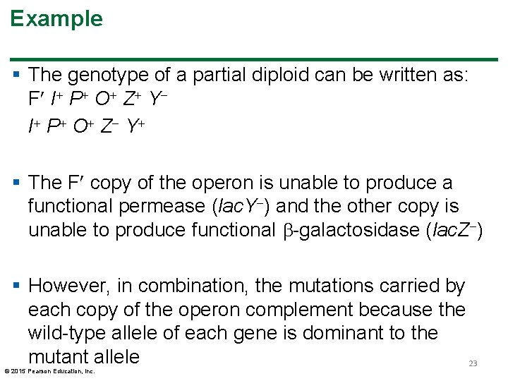 Example § The genotype of a partial diploid can be written as: F I