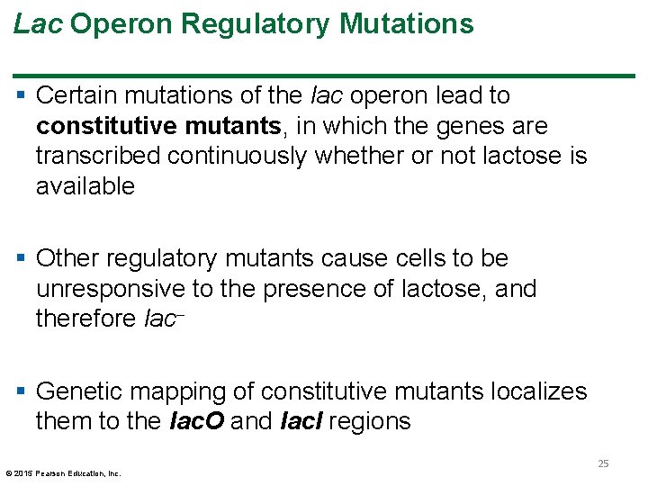 Lac Operon Regulatory Mutations § Certain mutations of the lac operon lead to constitutive