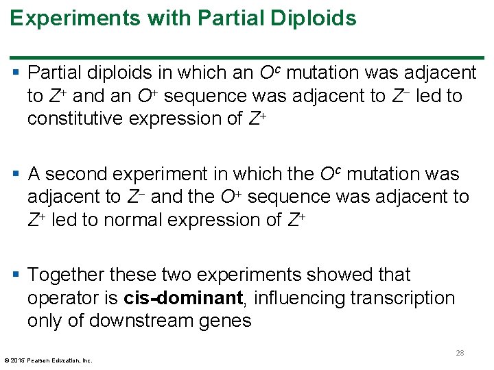 Experiments with Partial Diploids § Partial diploids in which an Oc mutation was adjacent