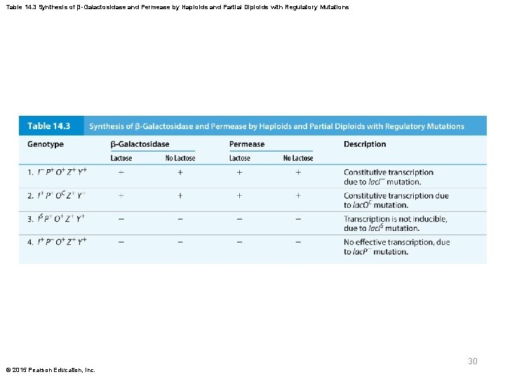 Table 14. 3 Synthesis of β-Galactosidase and Permease by Haploids and Partial Diploids with