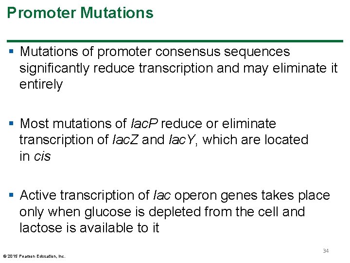 Promoter Mutations § Mutations of promoter consensus sequences significantly reduce transcription and may eliminate