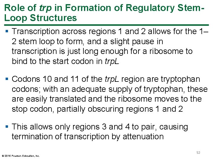 Role of trp in Formation of Regulatory Stem. Loop Structures § Transcription across regions