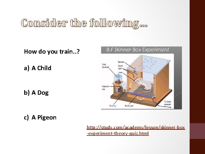 Consider the following… How do you train. . ? a) A Child b) A