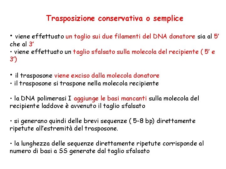 Trasposizione conservativa o semplice • viene effettuato un taglio sui due filamenti del DNA