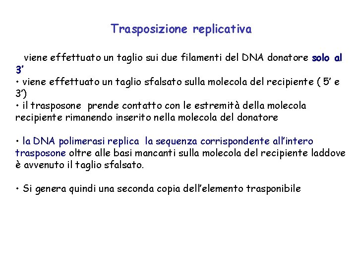 Trasposizione replicativa • viene effettuato un taglio sui due filamenti del DNA donatore solo