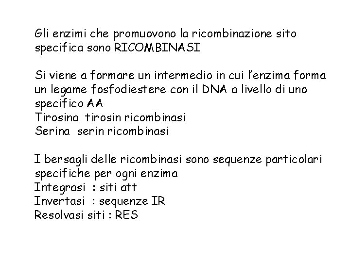 Gli enzimi che promuovono la ricombinazione sito specifica sono RICOMBINASI Si viene a formare