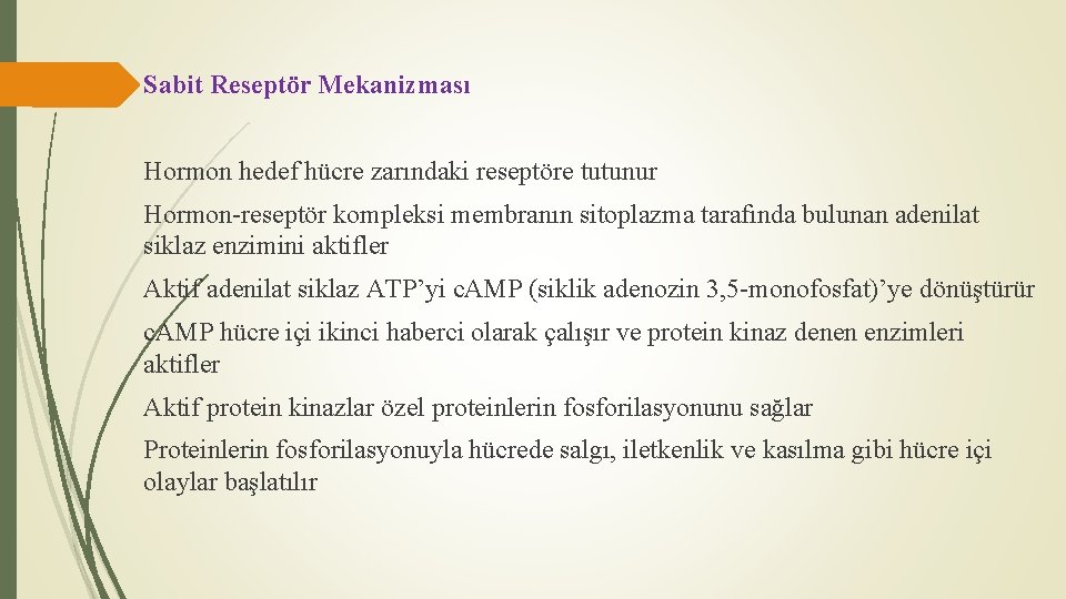 Sabit Reseptör Mekanizması Hormon hedef hücre zarındaki reseptöre tutunur Hormon-reseptör kompleksi membranın sitoplazma tarafında