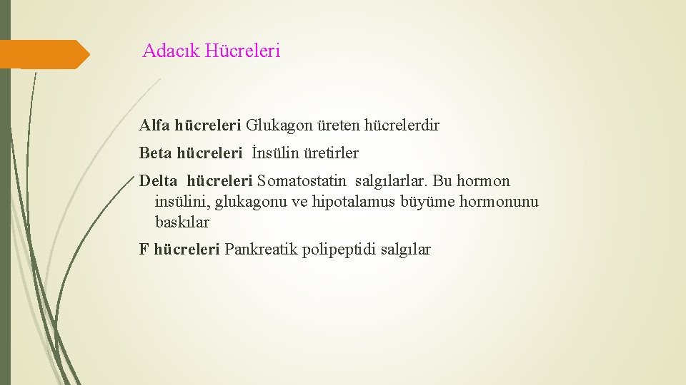 Adacık Hücreleri Alfa hücreleri Glukagon üreten hücrelerdir Beta hücreleri İnsülin üretirler Delta hücreleri Somatostatin