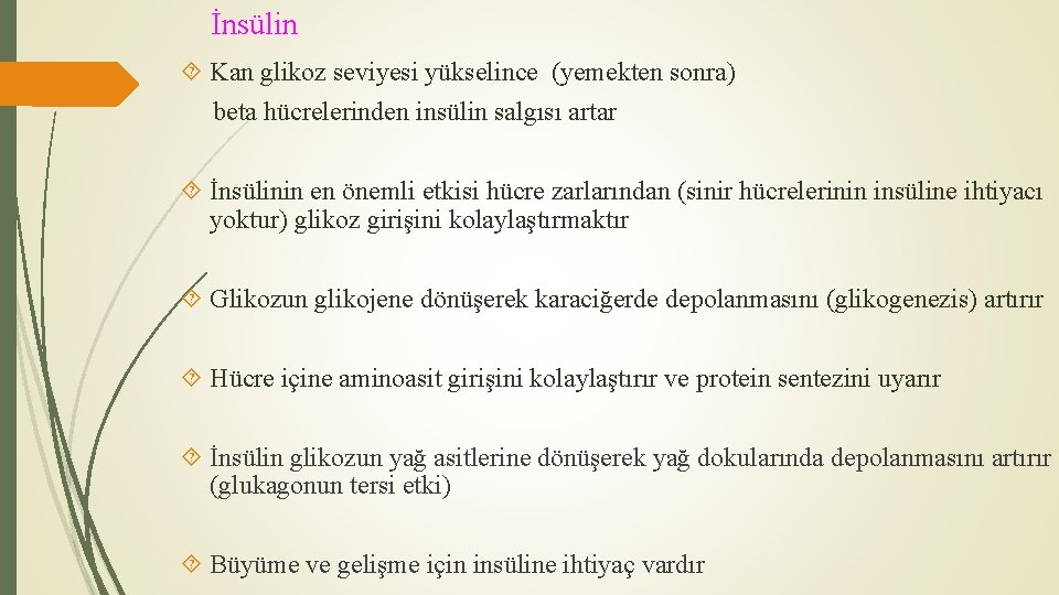 İnsülin Kan glikoz seviyesi yükselince (yemekten sonra) beta hücrelerinden insülin salgısı artar İnsülinin en