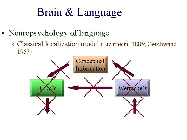 Brain & Language • Neuropsychology of language » Classical localization model (Lichtheim, 1885; Geschwand,