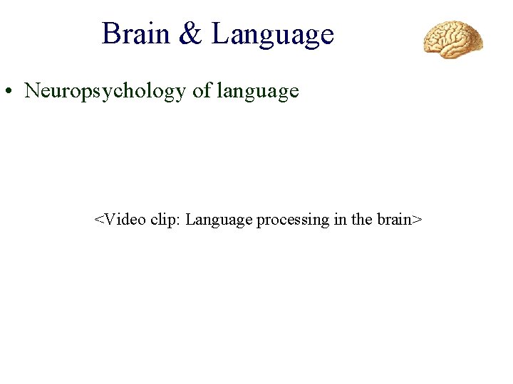 Brain & Language • Neuropsychology of language <Video clip: Language processing in the brain>