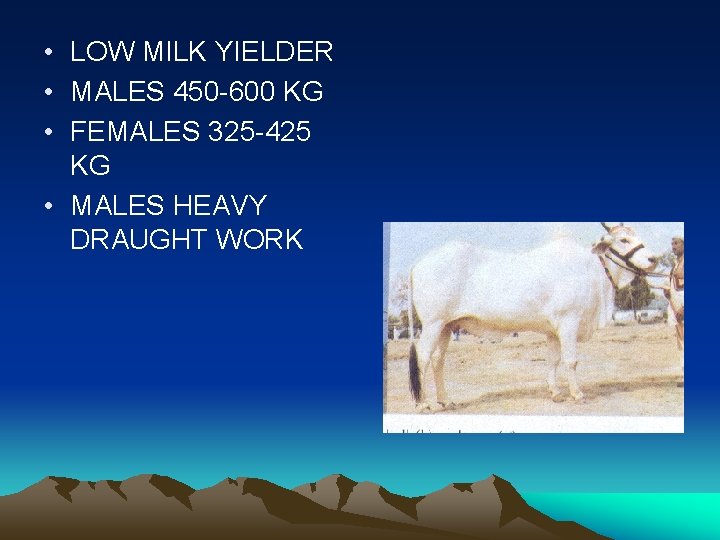  • LOW MILK YIELDER • MALES 450 -600 KG • FEMALES 325 -425