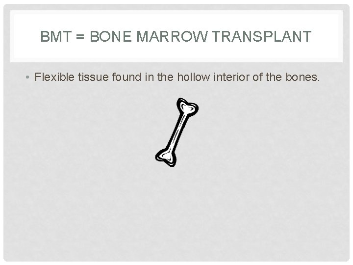 BMT = BONE MARROW TRANSPLANT • Flexible tissue found in the hollow interior of