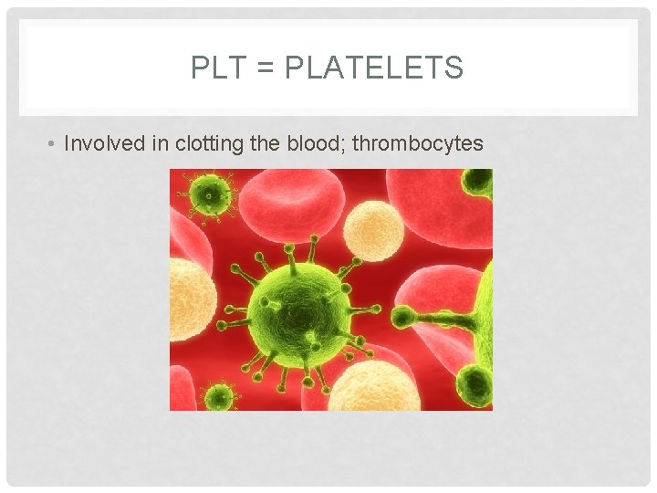 PLT = PLATELETS • Involved in clotting the blood; thrombocytes 