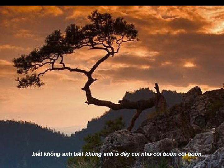 biết không anh ở đây coi như cõi buồn 