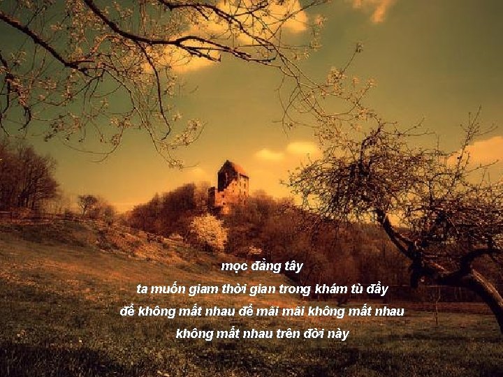 mọc đằng tây ta muốn giam thời gian trong khám tù đầy để không