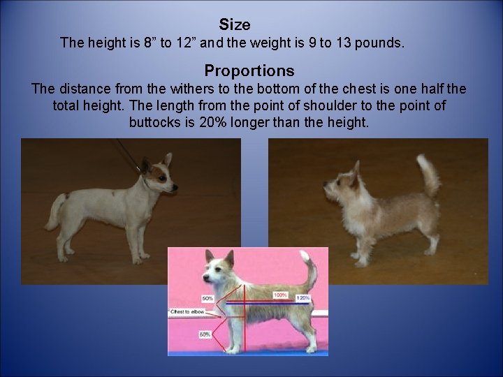 Size The height is 8” to 12” and the weight is 9 to 13