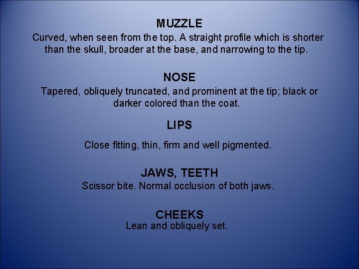 MUZZLE Curved, when seen from the top. A straight profile which is shorter than