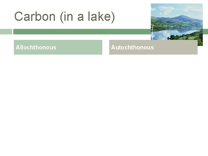 Carbon (in a lake) Allochthonous Autochthonous 
