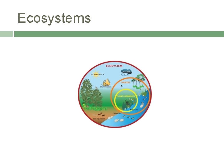 Ecosystems 