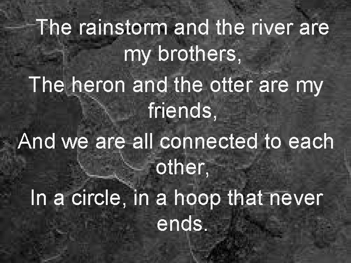 The rainstorm and the river are my brothers, The heron and the otter are