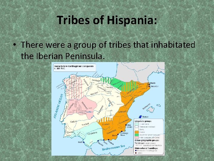 Tribes of Hispania: • There were a group of tribes that inhabitated the Iberian