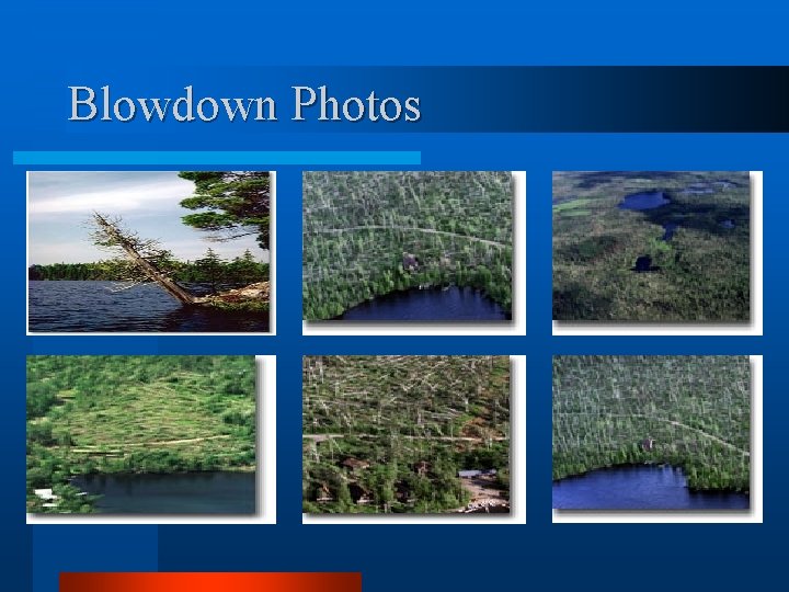 Blowdown Photos 