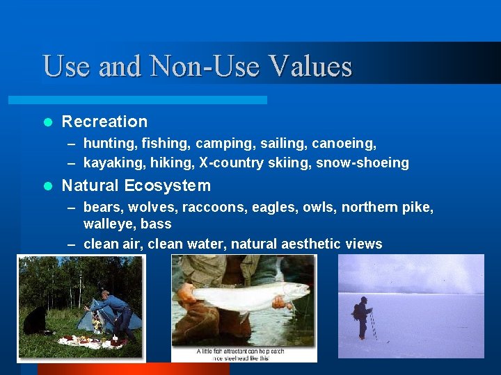 Use and Non-Use Values l Recreation – hunting, fishing, camping, sailing, canoeing, – kayaking,