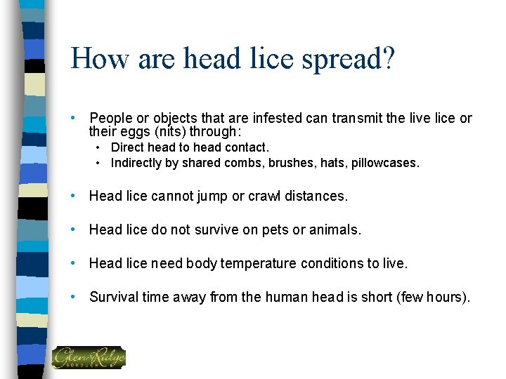 How are head lice spread? • People or objects that are infested can transmit