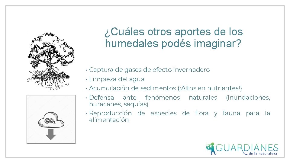 ¿Cuáles otros aportes de los humedales podés imaginar? • Captura de gases de efecto