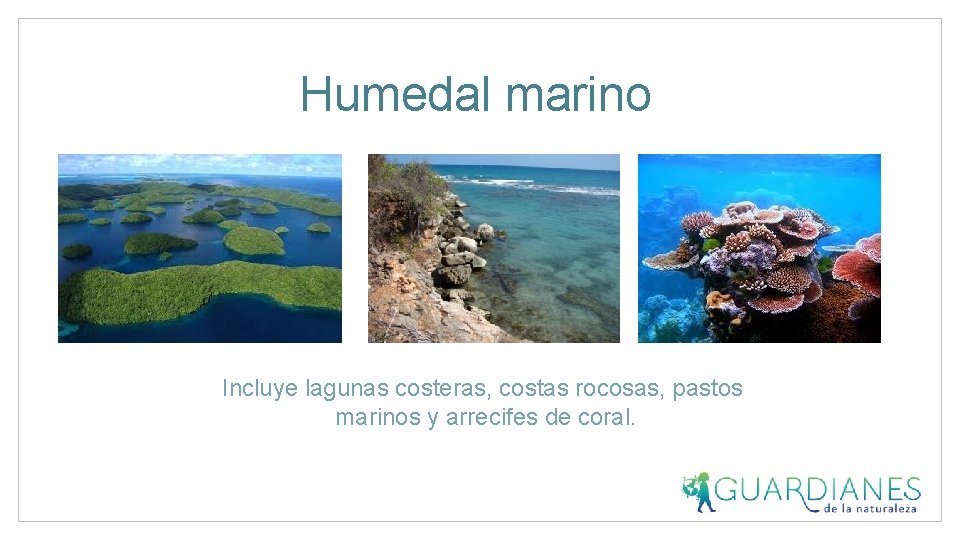 Humedal marino Incluye lagunas costeras, costas rocosas, pastos marinos y arrecifes de coral. 