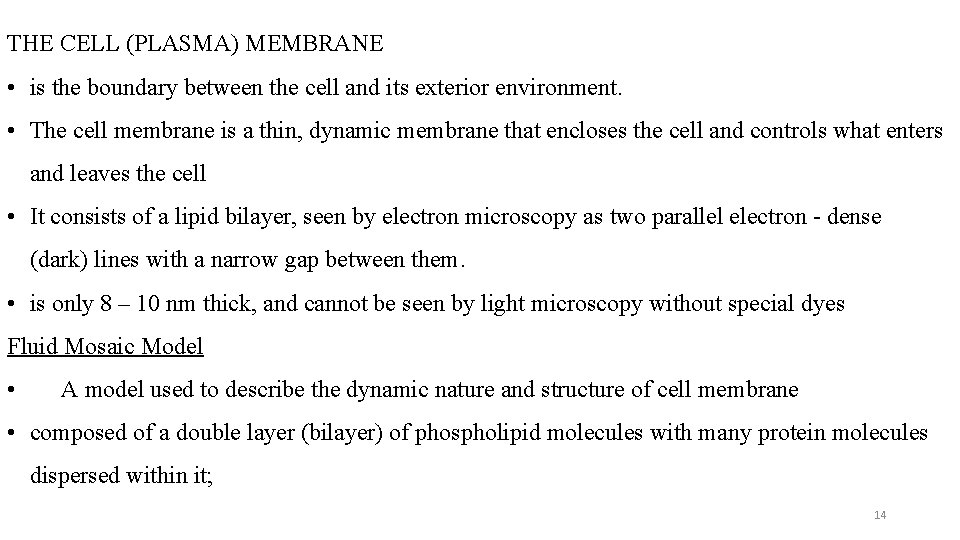 THE CELL (PLASMA) MEMBRANE • is the boundary between the cell and its exterior