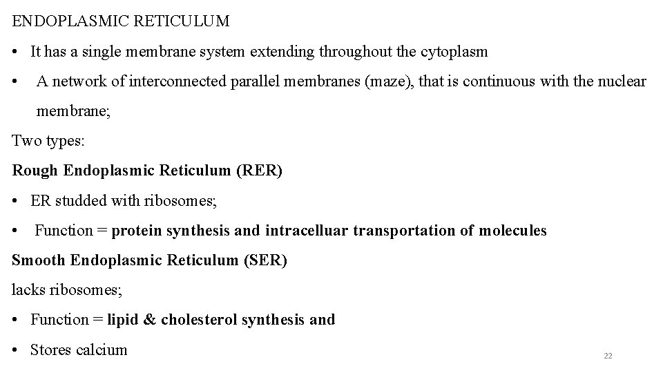 ENDOPLASMIC RETICULUM • It has a single membrane system extending throughout the cytoplasm •