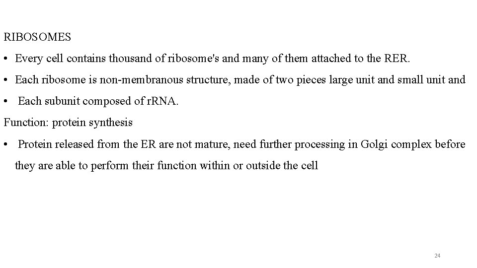 RIBOSOMES • Every cell contains thousand of ribosome's and many of them attached to