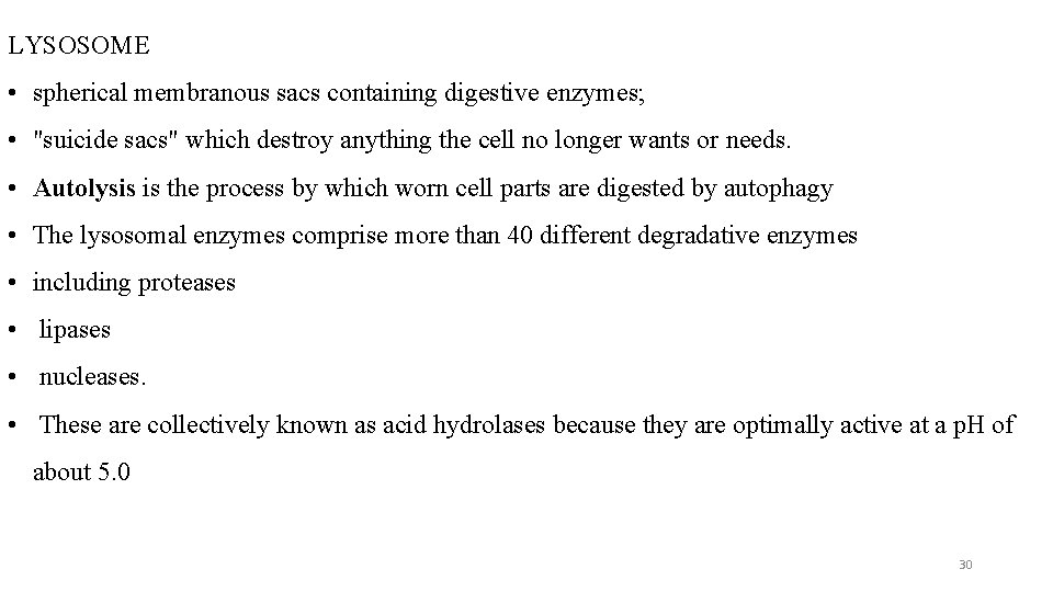 LYSOSOME • spherical membranous sacs containing digestive enzymes; • "suicide sacs" which destroy anything